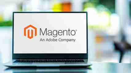 Hire Magento Developers