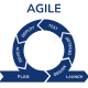 software Development company Agile Development
