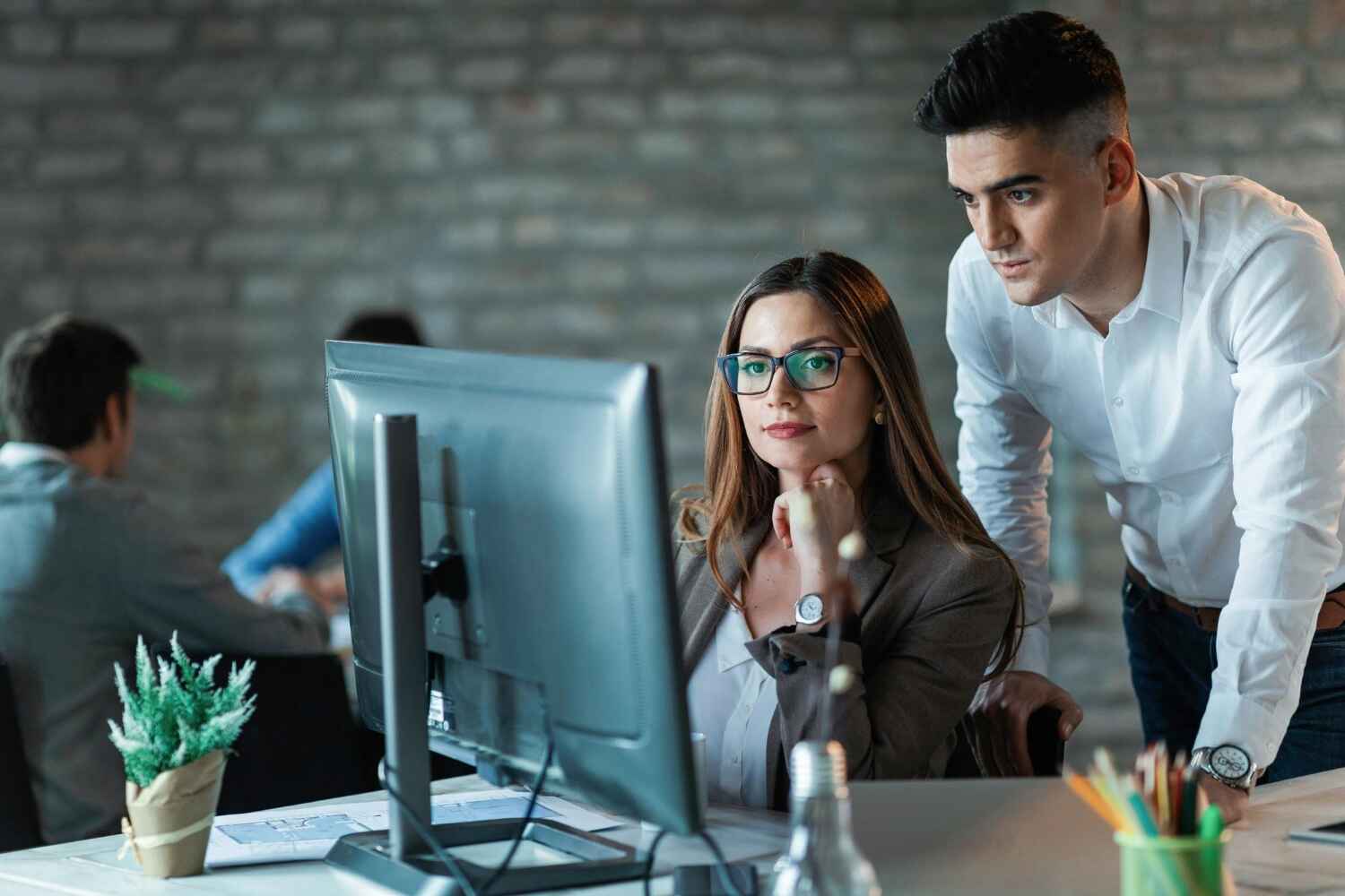 12. Business software solutions